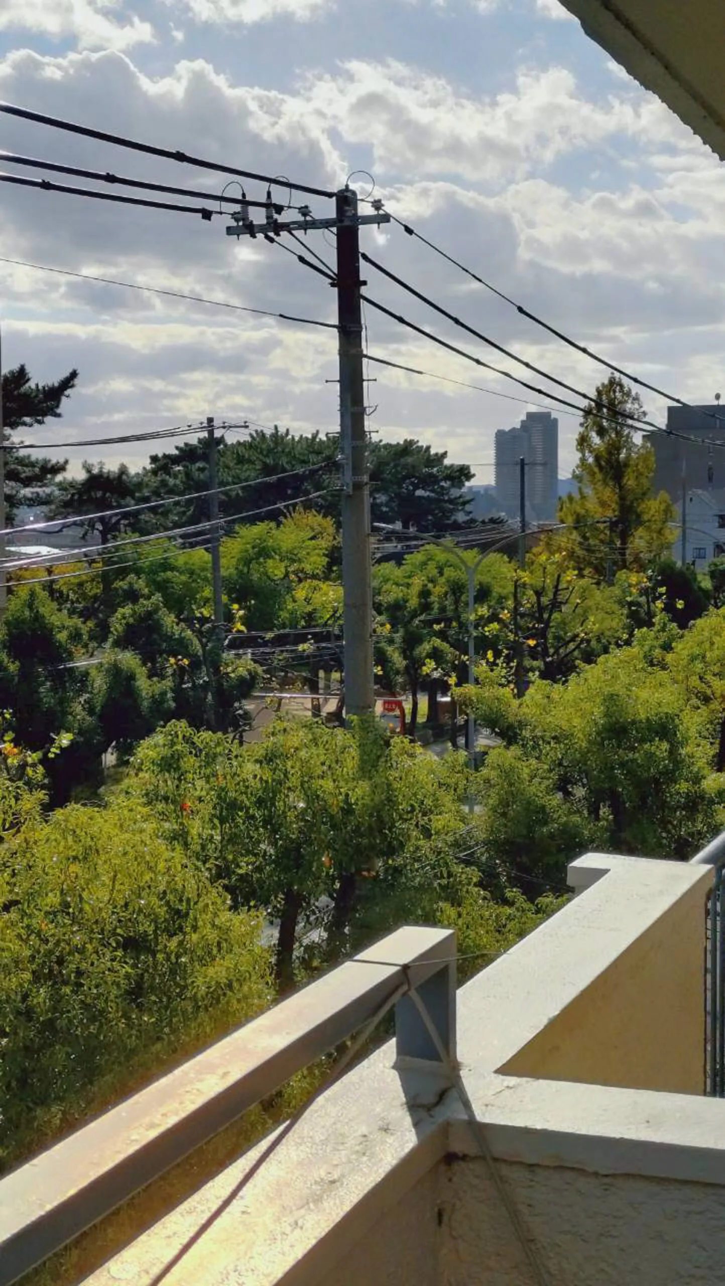 西住吉アーバンライフ4階 写真3